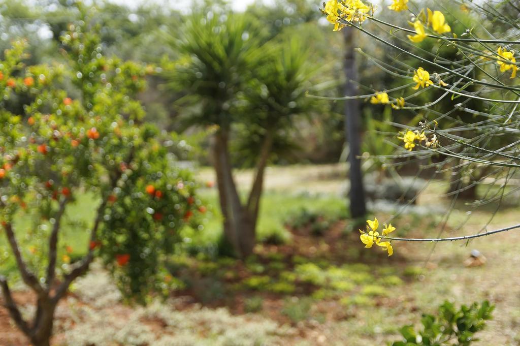 Agroturismo Calamate Gallipoli
