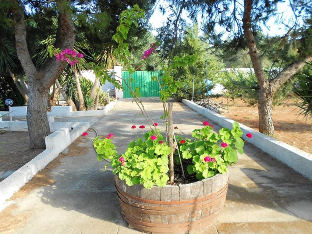 Agroturismo Calamate *
